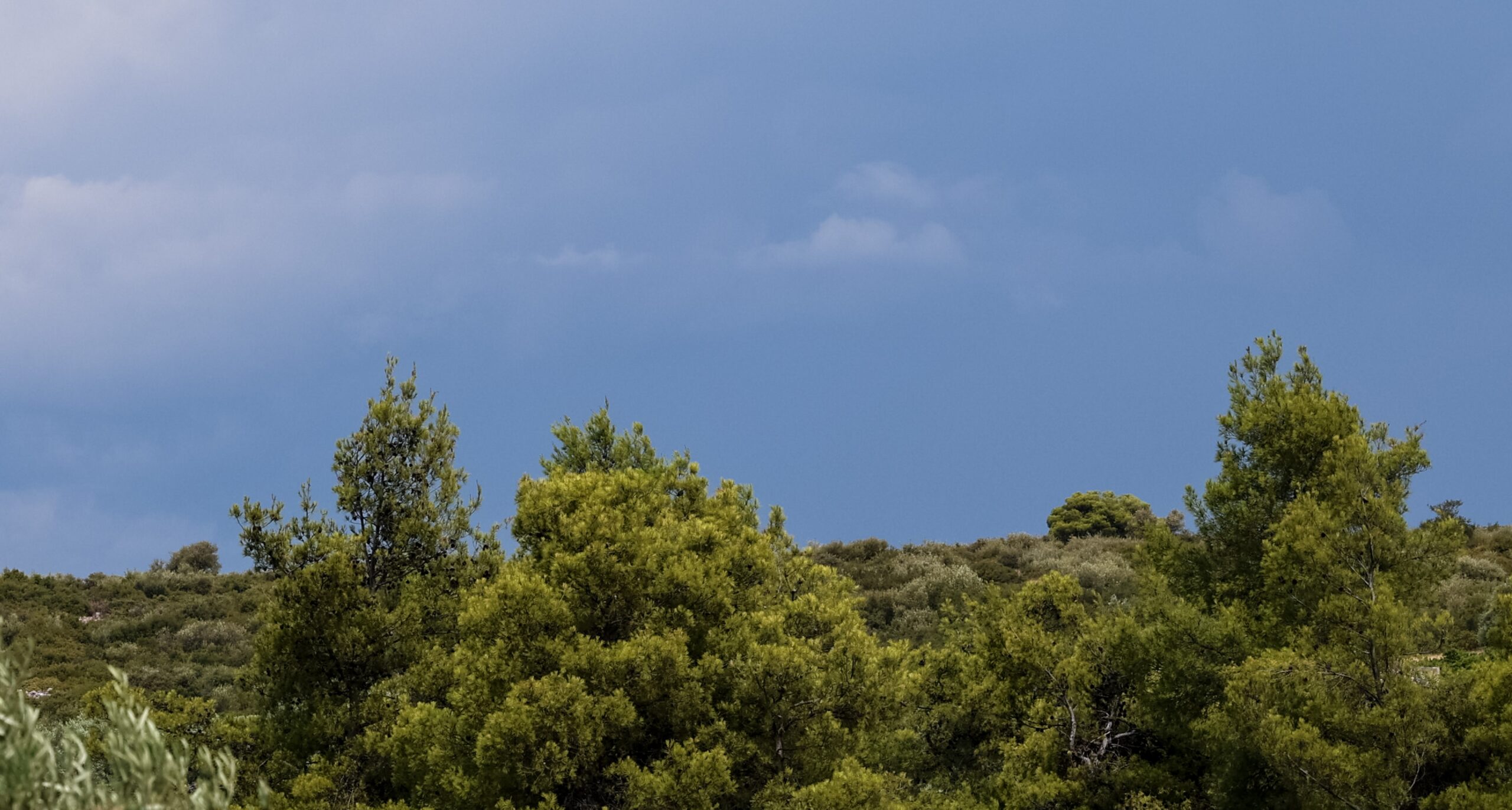 Κακοκαιρία «εξπρές»: Εξασθενούν τα φαινόμενα, παραμένει το κρύο – Ο καιρός των Χριστουγέννων — Αναλυτική πρόγνωση ΕΡΤ