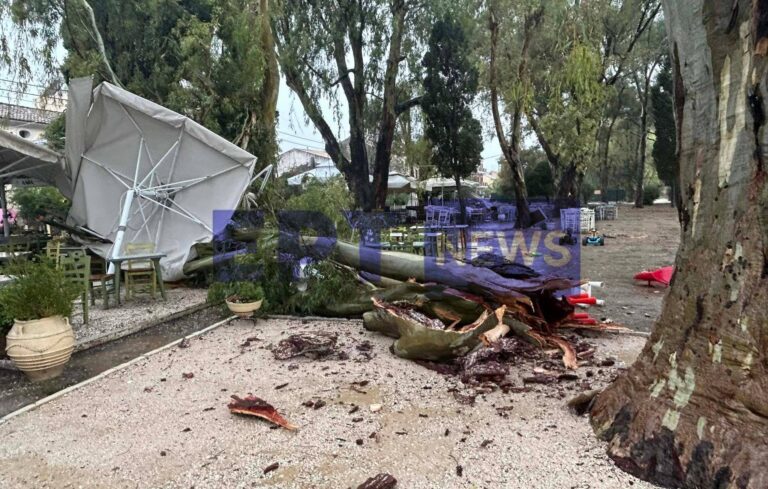 Κέρκυρα: Ισχυροί άνεμοι – Έπεσε δέντρο στο άλσος της Γαρίτσας