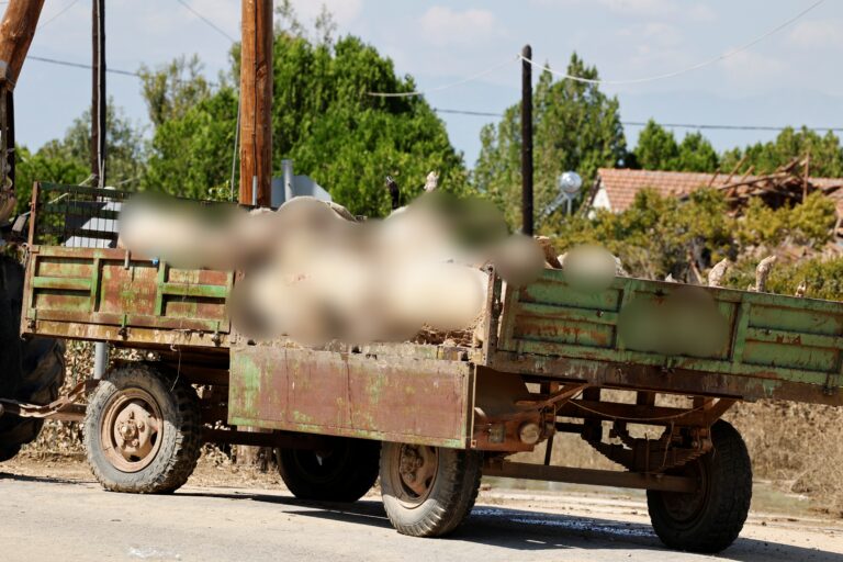 Τρίκαλα: Αντιδράσεις και διαμαρτυρίες για την διαδικασία απομάκρυνσης των νεκρών ζώων