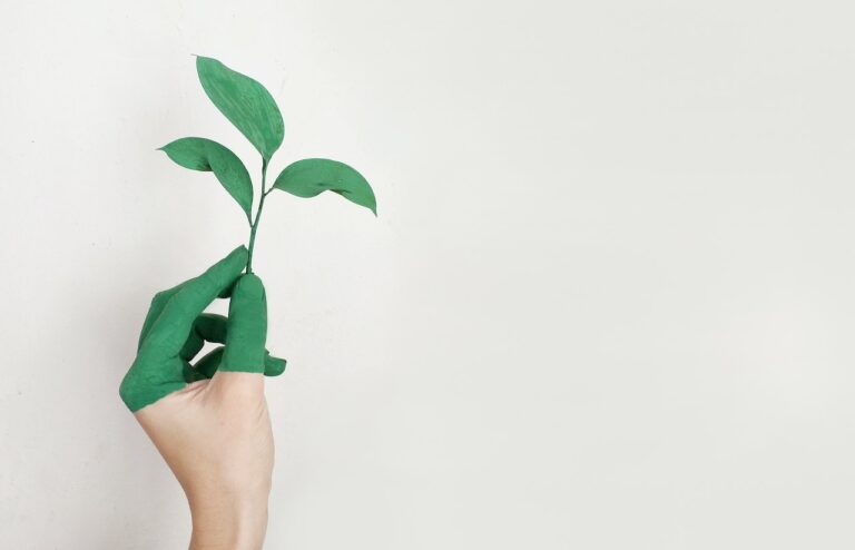 «Sustainability Academy»: Bραβεία σε 2 ηπείρους για την πλατφόρμα διαδικτυακής εκπαίδευσης του Κέντρου Αειφορίας (CSE)