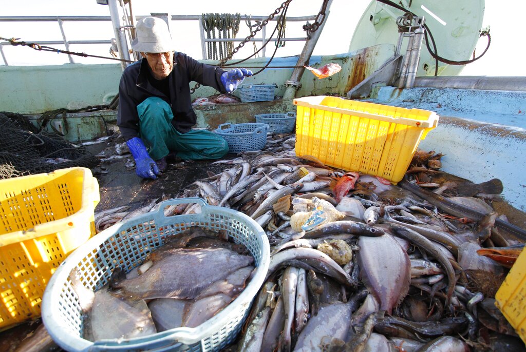 Japan South Korea Fish Ban