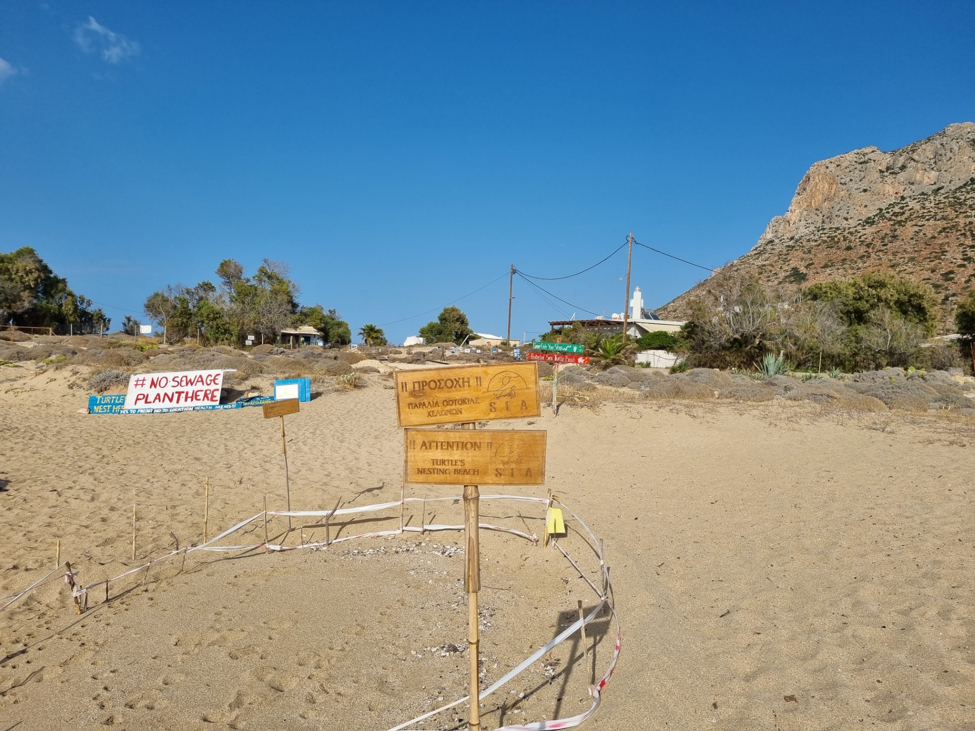 Δημόσια εκσκαφή φωλιάς θαλάσσιας χελώνας Caretta Caretta στην Παχιά Άμμο