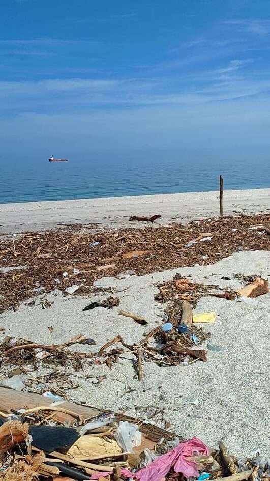 Typhoon Project: ο «Τυφώνας» που καθάρισε τις ακτές του Πηλίου – Δείτε τη διαφορά πριν και μετά
