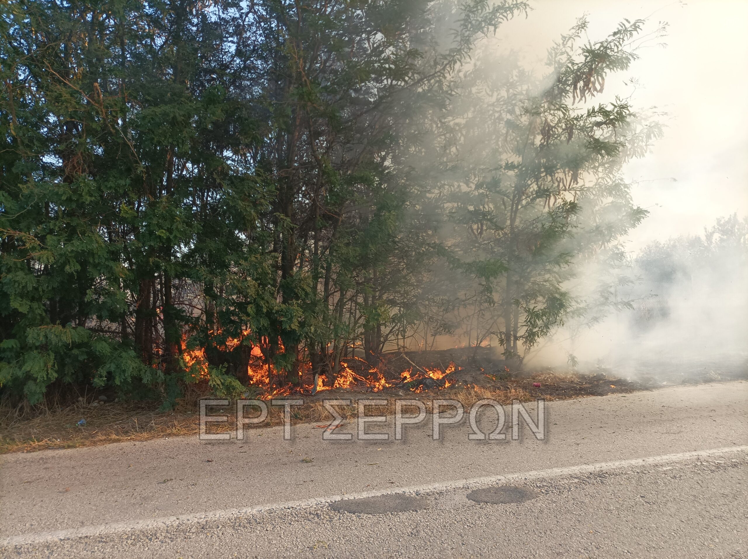 Σέρρες: Στον εισαγγελέα 91χρονος για πρόκληση πυρκαγιάς (βίντεο)