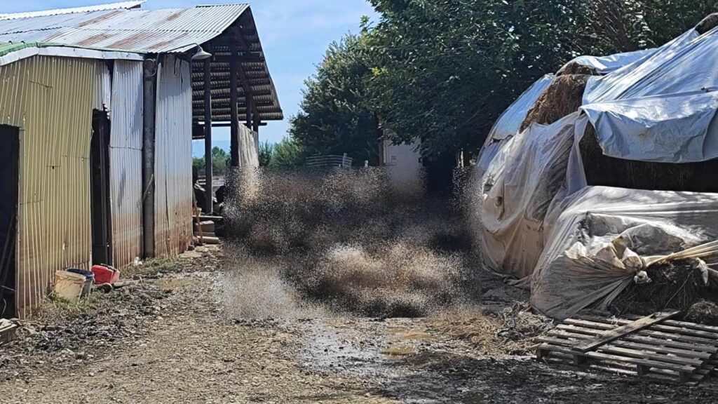 Ριζοβούνι Καρδίτσας: Απομακρύνονται και τα τελευταία νεκρά ζώα (βίντεο)