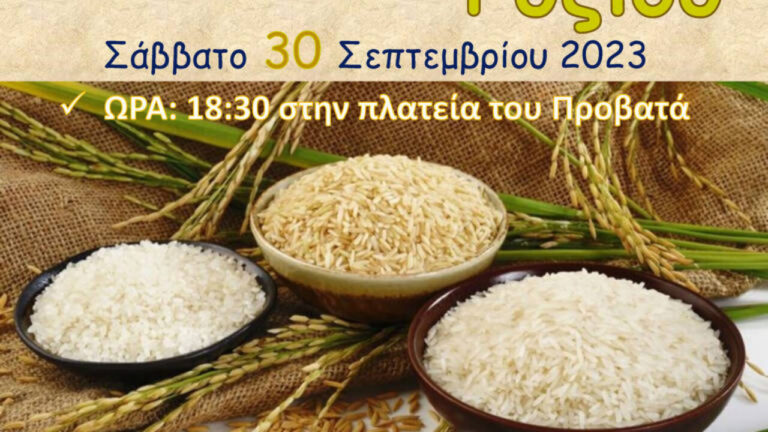 Σέρρες: Η 23η γιορτή ρυζιού στον Προβατά