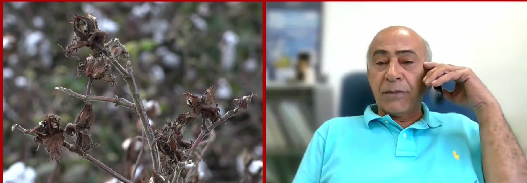 Νταράουσε Μοχάμεντ