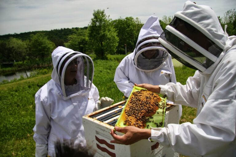 Στην “εντατική” η μελισσοκομία από τις πυρκαγιές και τις πλημμύρες