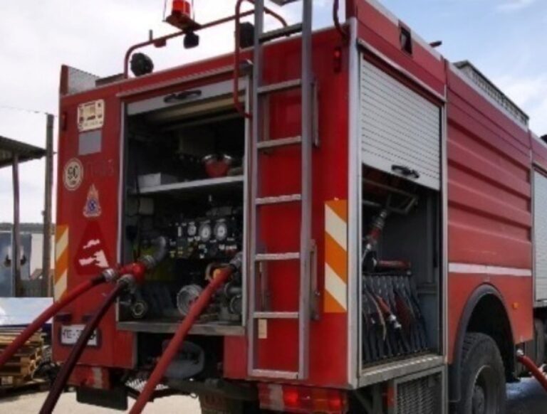 Θεσσαλονίκη: Φωτιά σε δασική έκταση στον  Λαγκαδά-Δεν απειλούνται κατοικημένες περιοχές