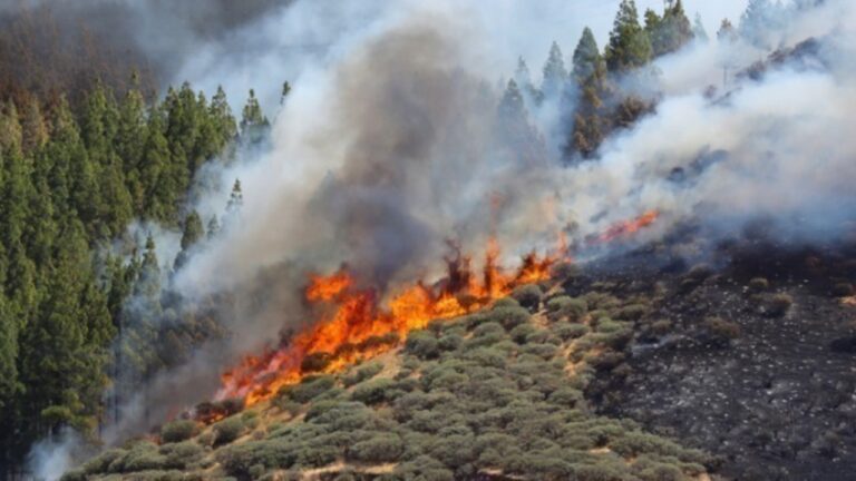  Γρεβενά: Διοικητικό πρόστιμο για πυρκαγιά έπειτα από καύση ξερών χόρτων