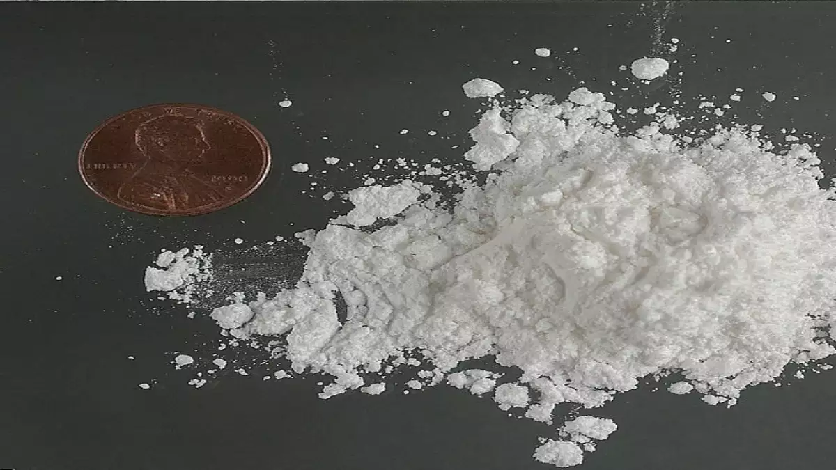 Ηγουμενίτσα: Εντοπίστηκαν 59,5 κιλά κοκαΐνης σε φορτηγό ψυγείο