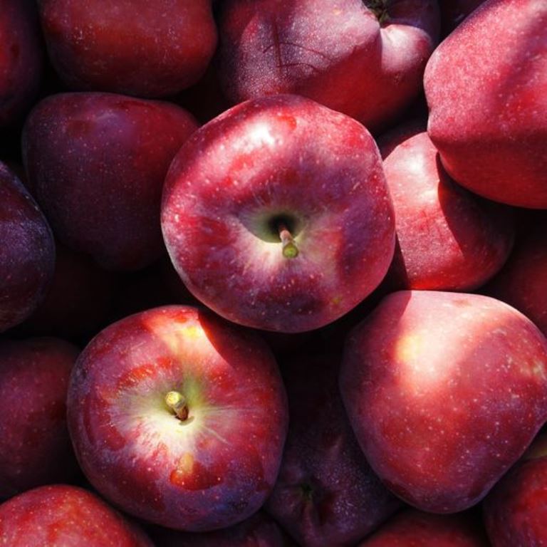 Eορδαία: Μειωμένη κατά 50% σε σχέση με πέρυσι η παραγωγή μήλων