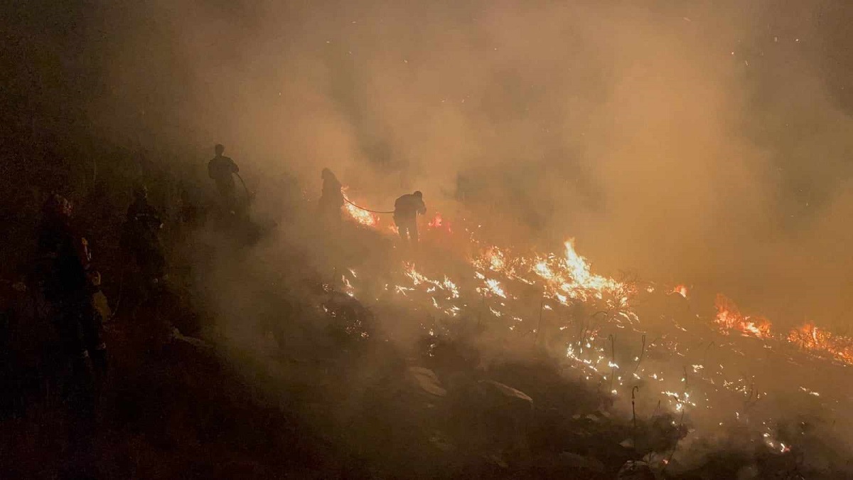 Ηράκλειο: Εμπρησμό δείχνουν τα πρώτα στοιχεία πίσω από τη μεγάλη πυρκαγιά στη Μεσαρά (βίντεο)