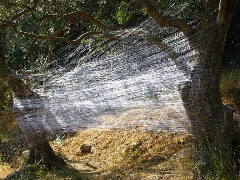 Μια ημερίδα – κραυγή για τη φύση από το dreamideamachine στην Τεχνόπολη