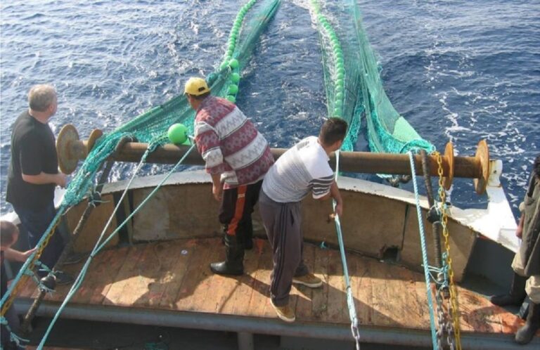 Αλιεία: Οικονομική ενίσχυση για κατάργηση του γρίπου σε βιντζότρατες