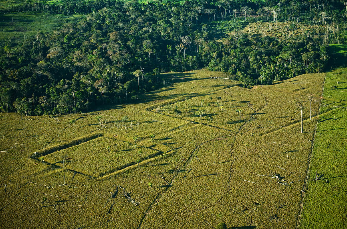 _20231005_on_amazonian_earthworks_aerial