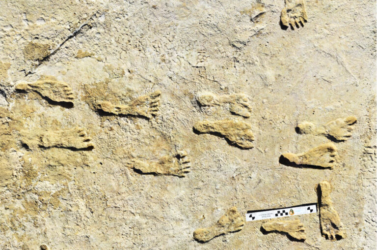 Τι αποκαλύπτουν οι αρχαίες απολιθωμένες πατημασιές που ανακαλύφθηκαν στο Νέο Μεξικό