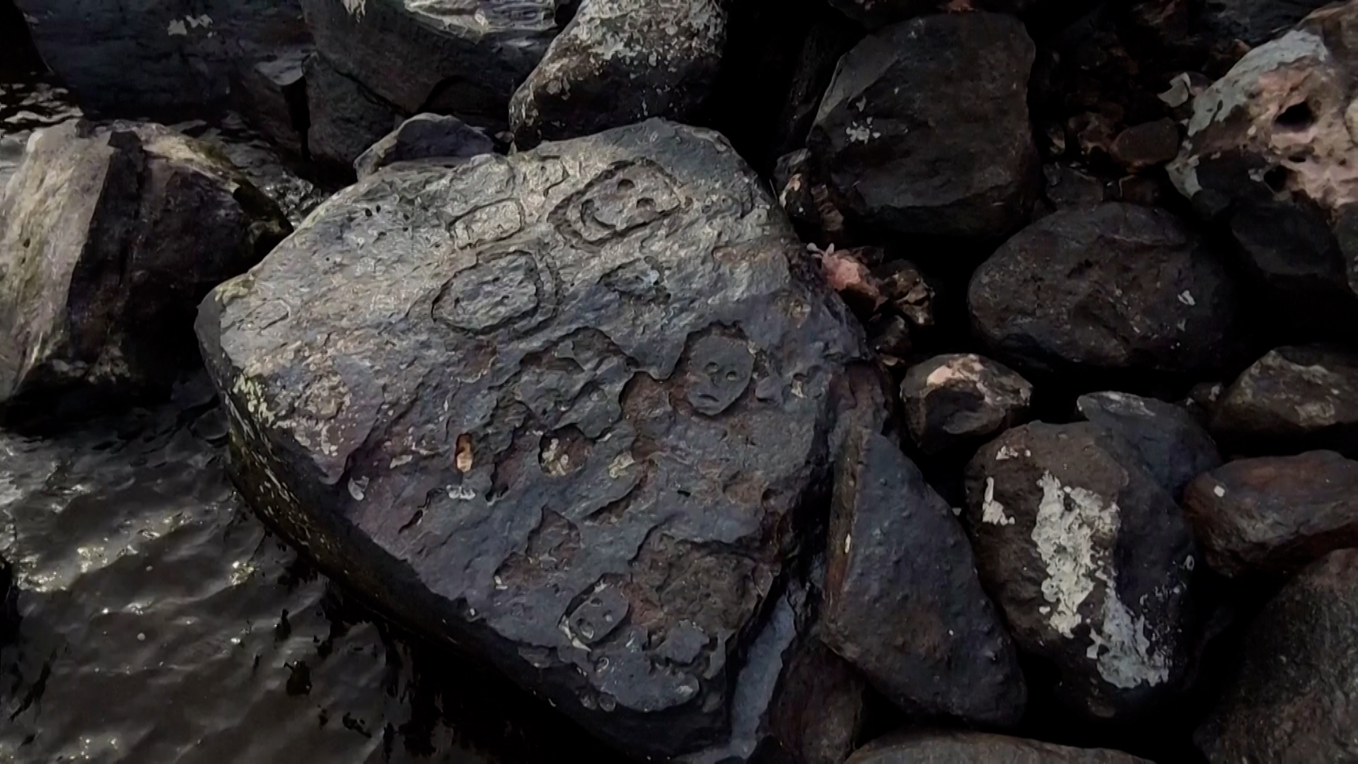 Αμαζόνιος: Αρχαίες βραχογραφίες αναδύθηκαν στην επιφάνεια του ποταμού λόγω της ξηρασίας (video)