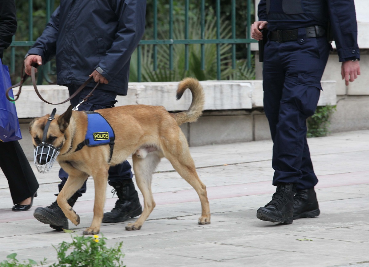 Καλούνται για… κατάταξη εννέα «τετράποδοι φρουροί» στο Κέντρο Εκπαίδευσης Φρουρών μετά Σκύλου