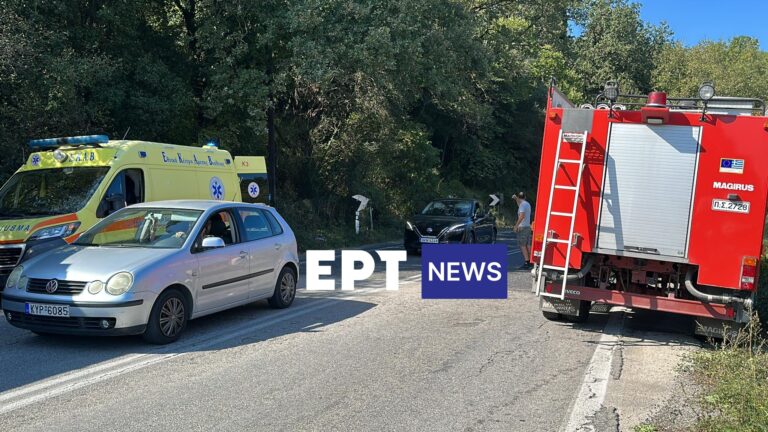 Κέρκυρα: “Γουρούνα” έπεσε σε γκρεμό, σώοι οι επιβάτες
