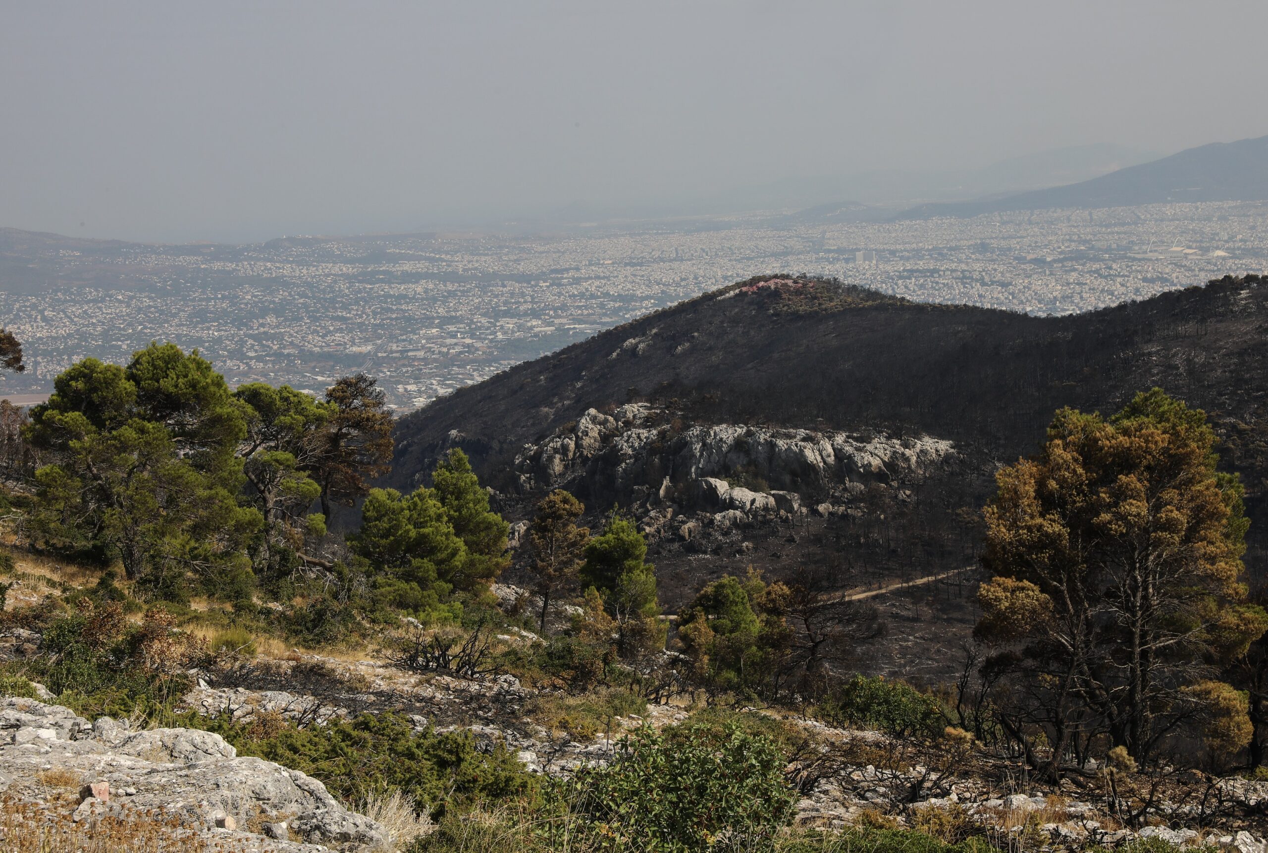 Πάρνηθα: Εντοπίστηκαν χειροβομβίδες σε μονοπάτι