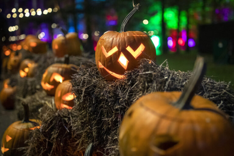 Samhain: Ο αρχαίος πρόδρομος του Halloween και οι παγανιστικές του παραδόσεις