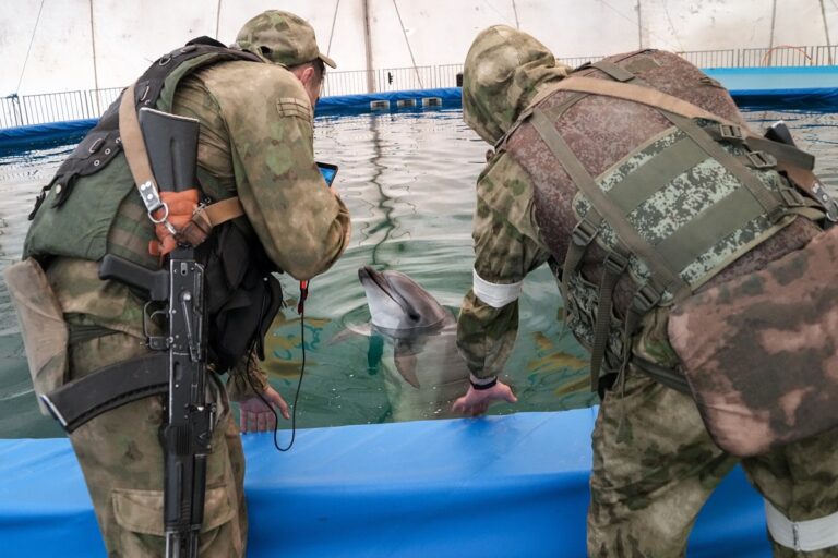 Ρωσία: Δελφίνια εναντίων δυτών εχθρικών ειδικών δυνάμεων