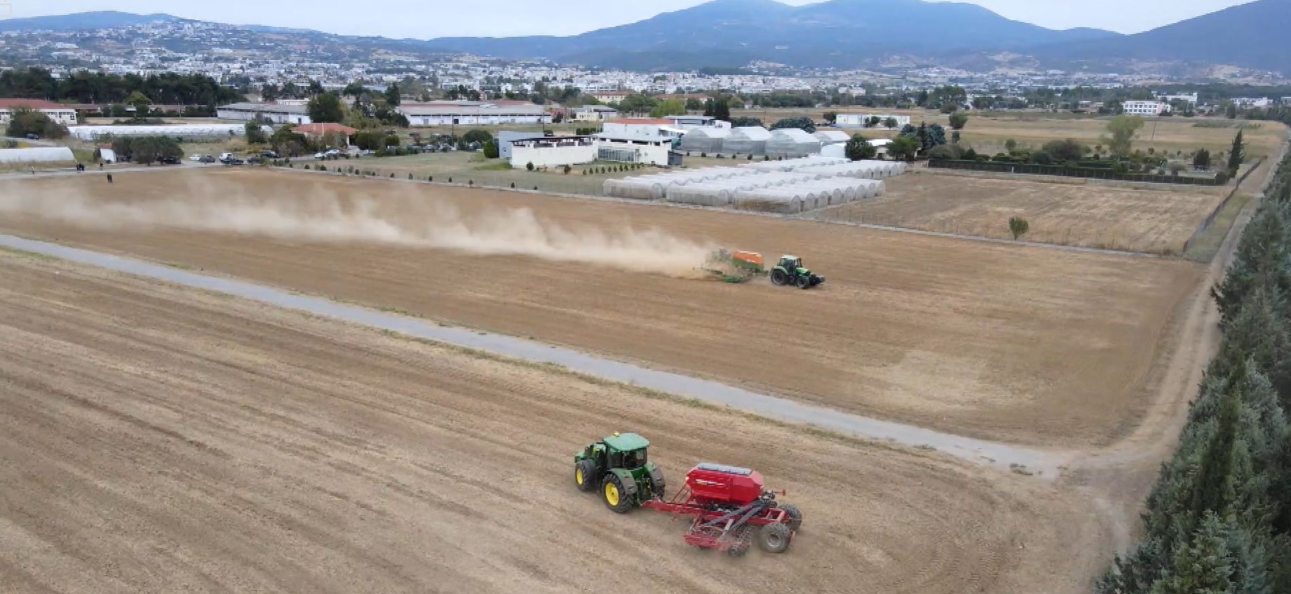 agrotes