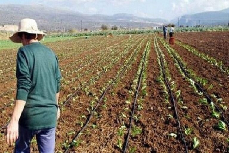 ΔΥΠΑ: Πρόγραμμα κινητικότητας 500 ανέργων από την Δυτική Μακεδονία στην Κρήτη για να εργαστούν στον πρωτογενή τομέα του νομού Ηρακλείου