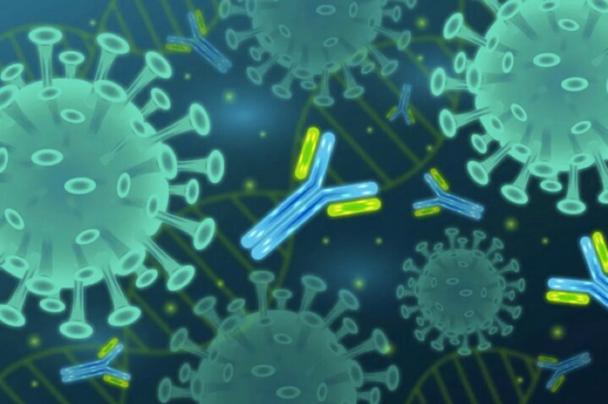 b30e0e3f-anticorps-neutralisants-à-large-spectre-peptide-de-fusion-proteine-spike-sars-cov-2-coronavirus-covid-19 (1)