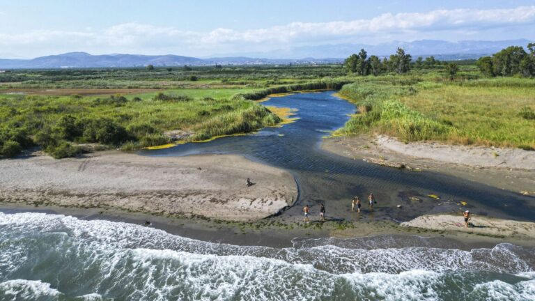 Λακωνία: Εθελοντικός καθαρισμός στο δέλτα του Ευρώτα ποταμού