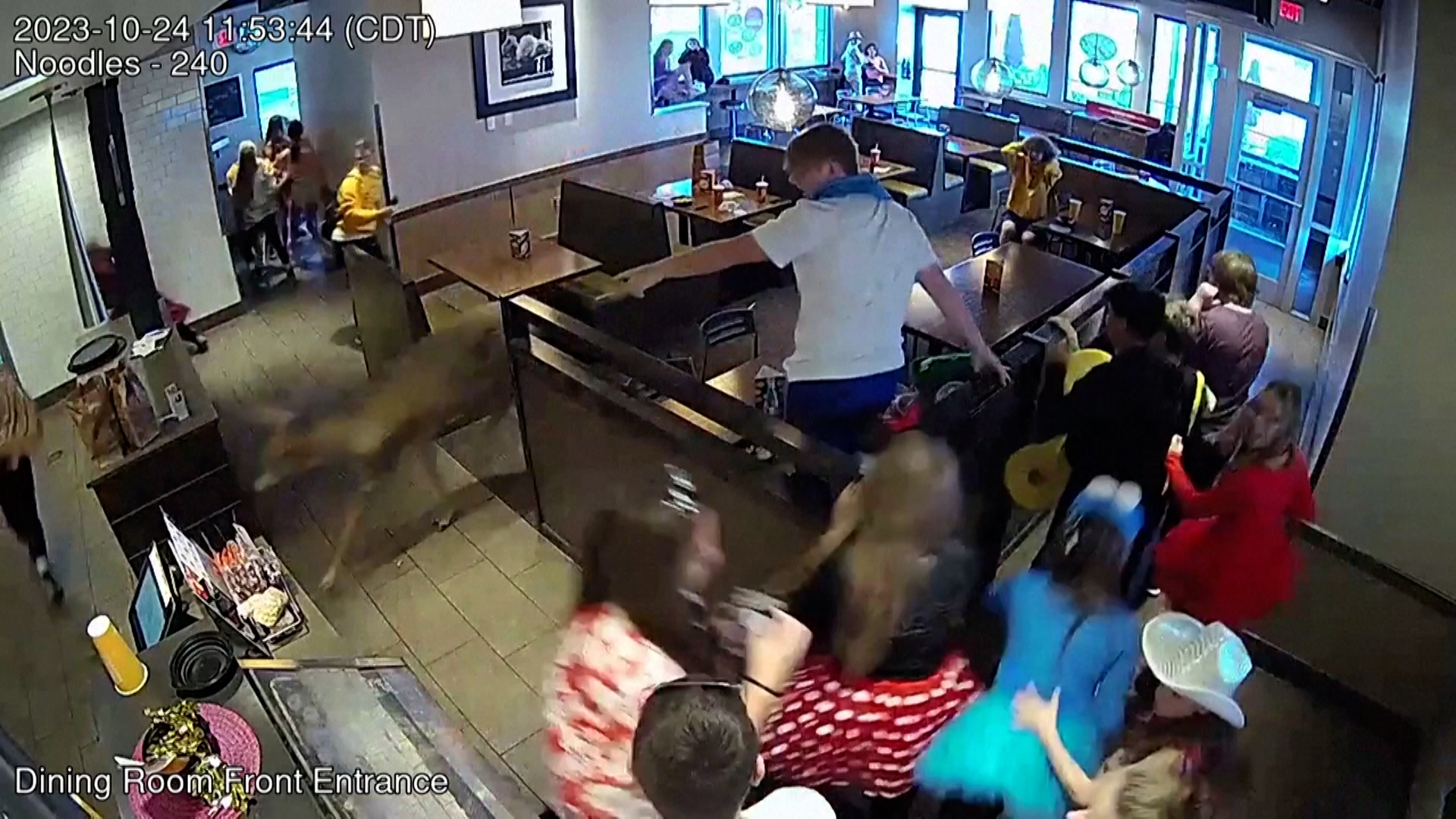 Βίντεο: Ελάφι σκορπάει τον πανικό σε εστιατόριο του Ουισκόνσιν