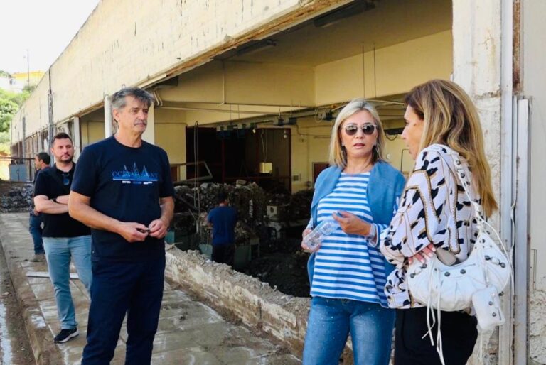 Ζ. Μακρή: Αντιπλημμυρικό έργο στο 2ο ΕΚ Ν. Ιωνίας από την ΑΓΕΤ  