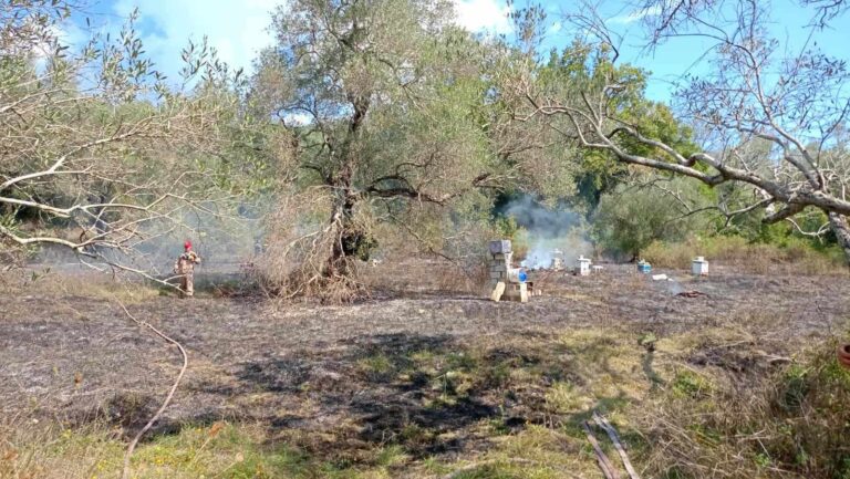 Κέρκυρα: Υπό έλεγχο η φωτιά στους Κανακάδες