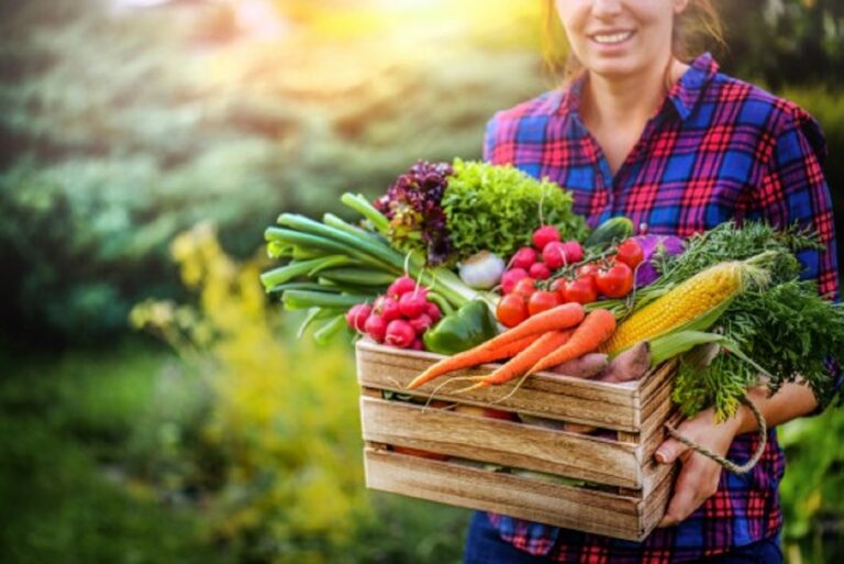 #PlantHealth4Life: Εκστρατεία για την προστασία των φυτών
