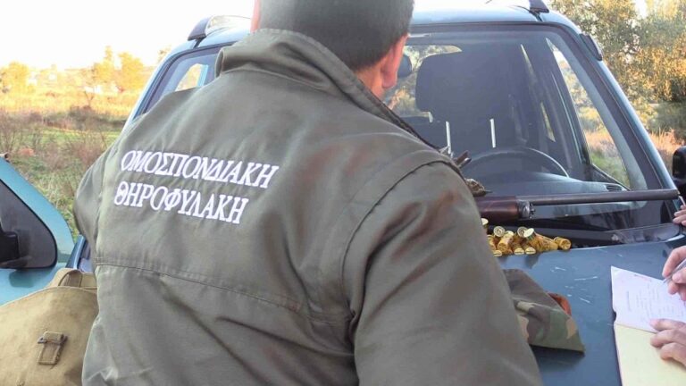 Λασίθι: Συνελήφθη δασοφύλακας για παράνομο κυνήγι