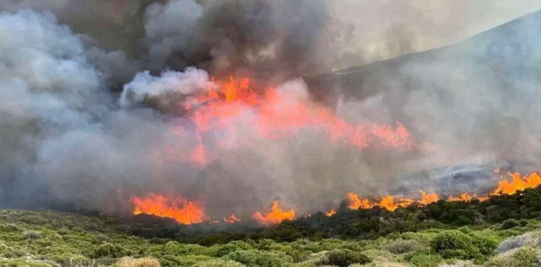 Υπό μερικό έλεγχο η πυρκαγιά σε δασική έκταση στην Αμυγδαλιά Λάρισας