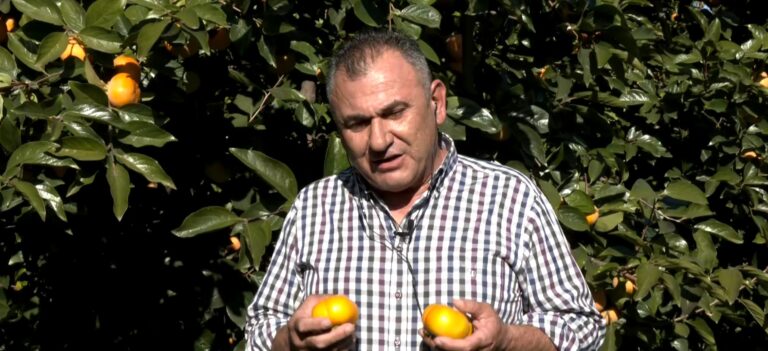 Ημαθία: Η εναλλακτική καλλιέργεια του λωτού