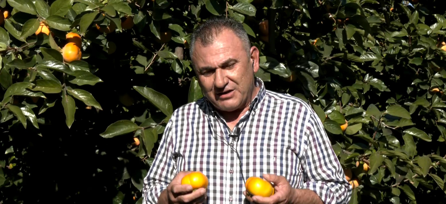 Χαλκίδης Ημαθία