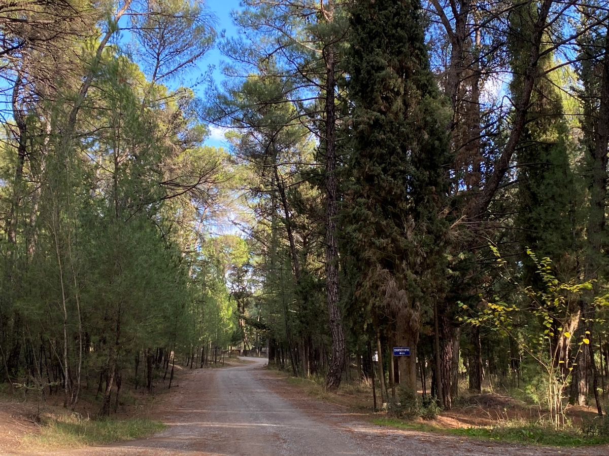 Καβάλα: Ετοιμότητα στο Παγγαίο για περιστατικά δασικών πυρκαγιών