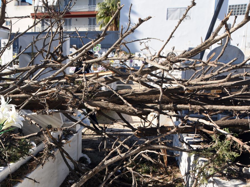 Κακοκαιρία: Ξερίζωσε δεκάδες δέντρα η Βettina – 437 κλήσεις στην πυροσβεστική για παροχή βοήθειας