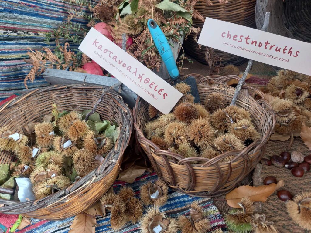 Λέσβος: Πλημμύρισε από κόσμο η Αγιάσος στη γιορτή του κάστανου (βίντεο)