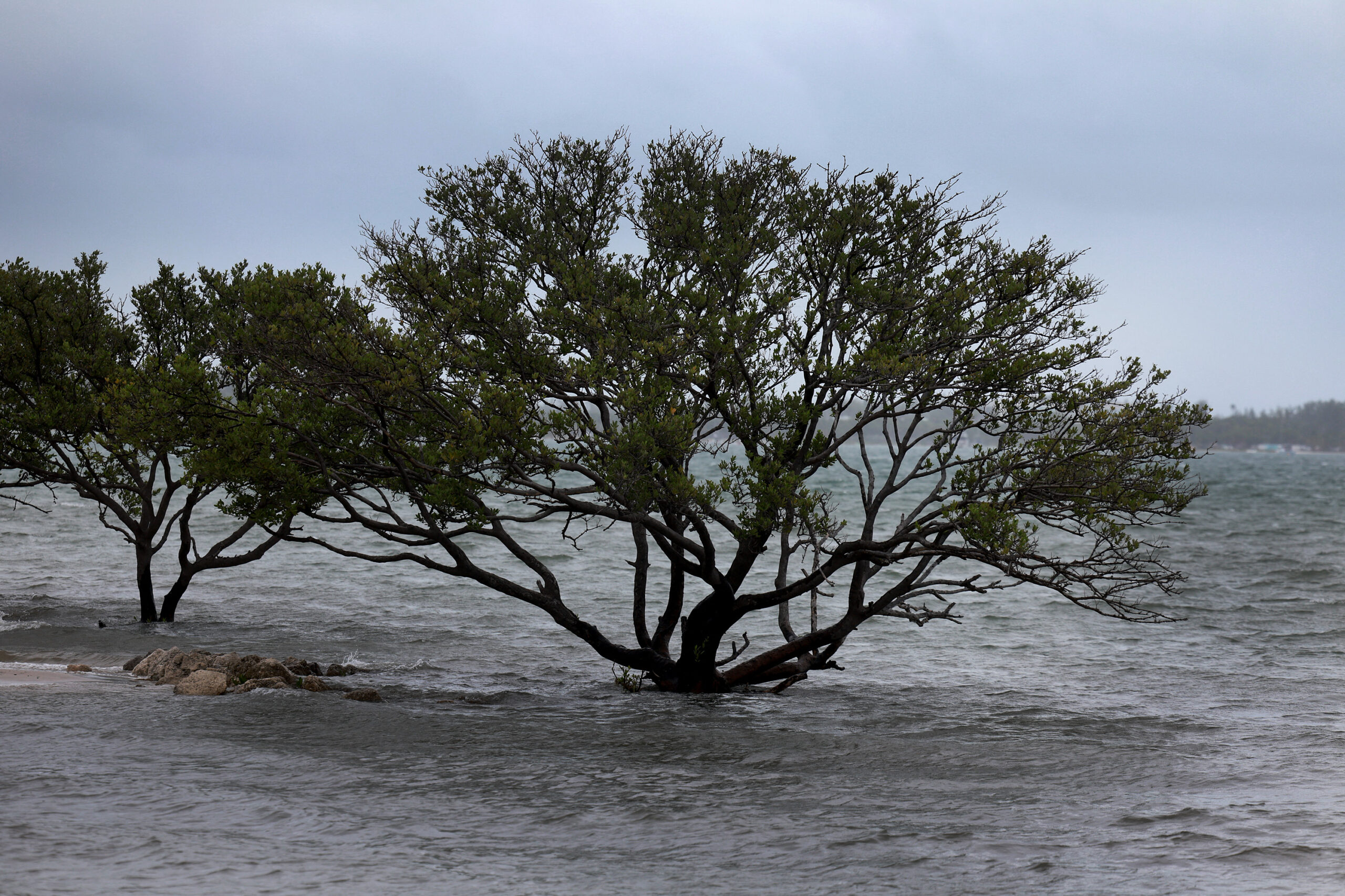 Rain And Seasonal King Tide Briing Coastal Flooding To Florida Shoreline Communities