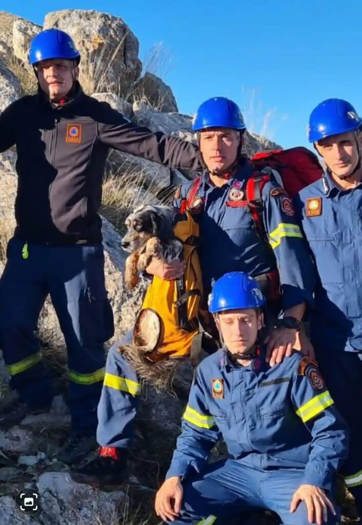 Πάτρα: Διάσωση σκύλου από την 6η ΕΜΑΚ – Έπεσε σε σπήλαιο της Αργολίδας
