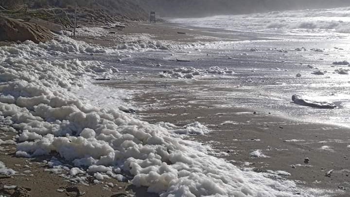 Ηράκλειο: Αφροί κατέκλυσαν την παραλία του Κομμού – Τι είναι το φαινόμενο Cappuccino Coast