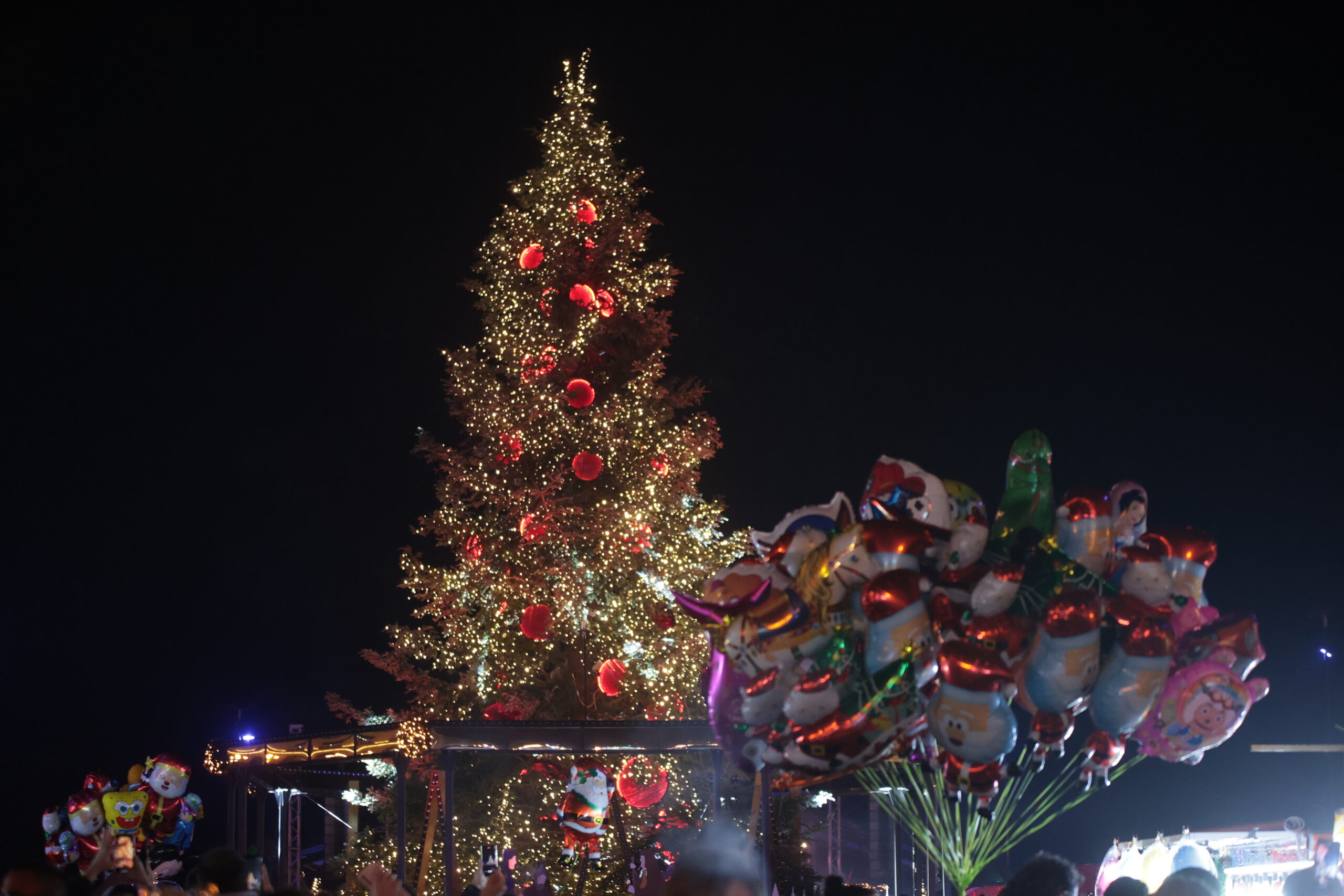 Θεσσαλονίκη: Στην πλατεία Αριστοτέλους το ύψους 17 μέτρων χριστουγεννιάτικο έλατο- Στις 7/12 η φωταγώγησή του
