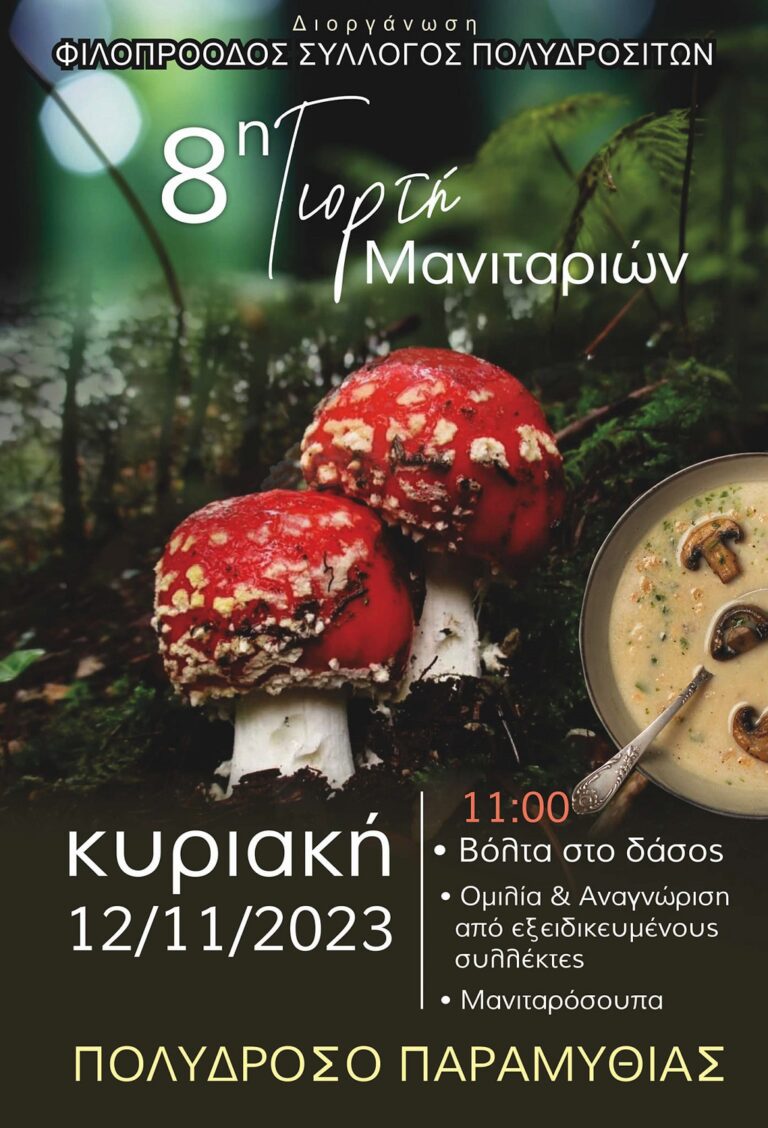 Πολύδροσο: Μανιτορογιορτή, συλλογή και μανιταρόσουπα
