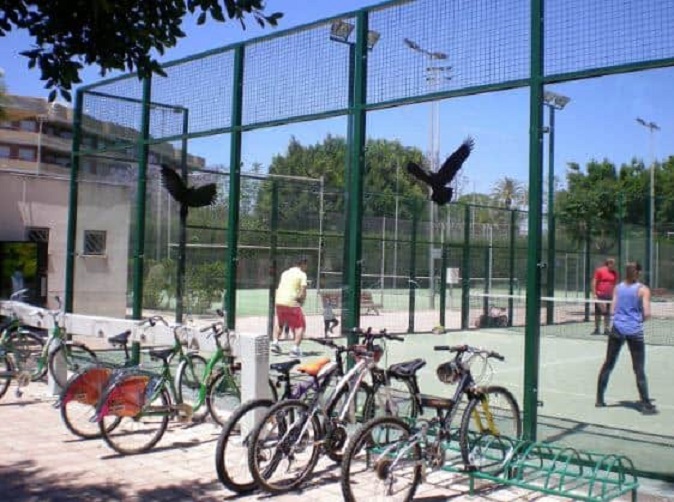 Η Ισπανία κρούει τον κώδωνα του κινδύνου για τα πουλιά από τα γήπεδα padel