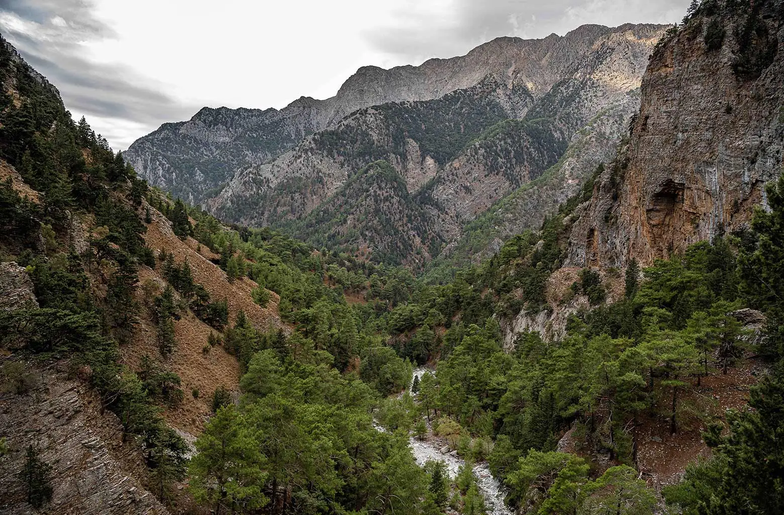 SAMARIA
