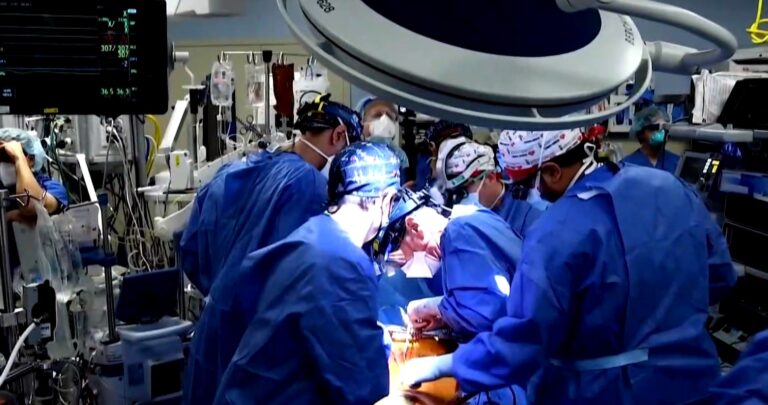 Πανελλήνια ημέρα δωρεάς οργάνων και μεταμοσχεύσεων